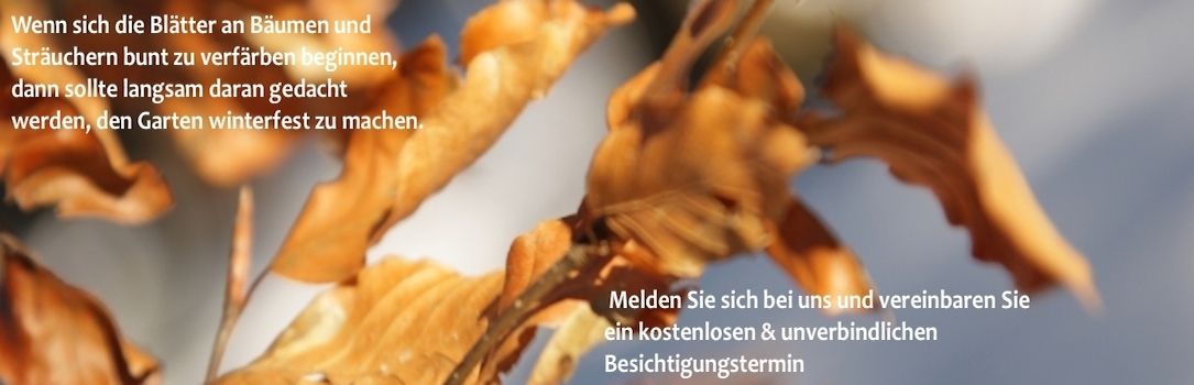 Herbst