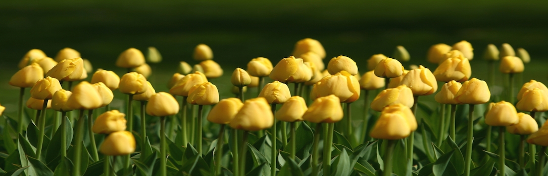 photo_12_20100520_11
